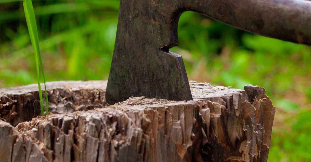 Common Mistakes to Avoid When Using Epsom Salt for Stump Removal
