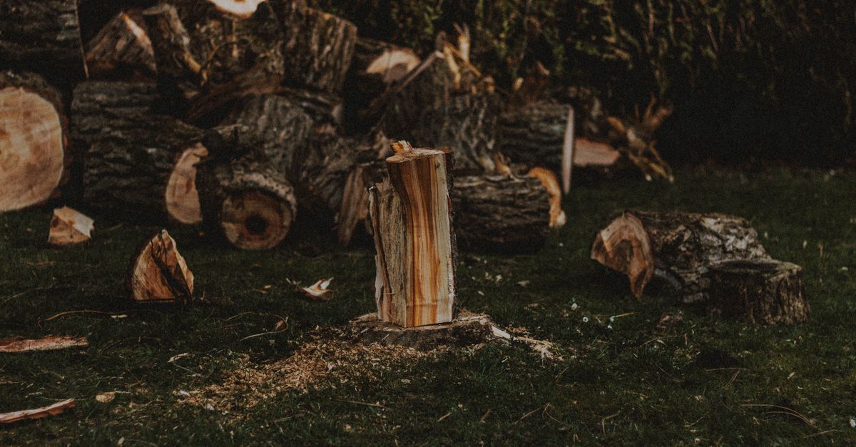 Common Mistakes to Avoid with Hand Tools in Stump Removal