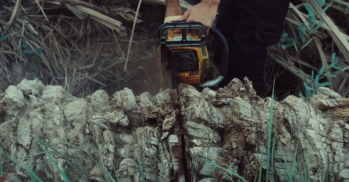 Comparing Different Mechanical Stump Grinding Techniques