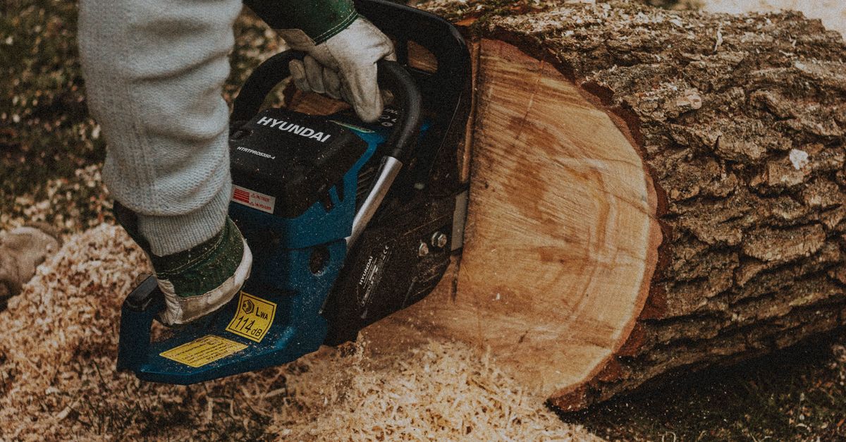 Comparing Different Types of Hand Tools for Stump Extraction