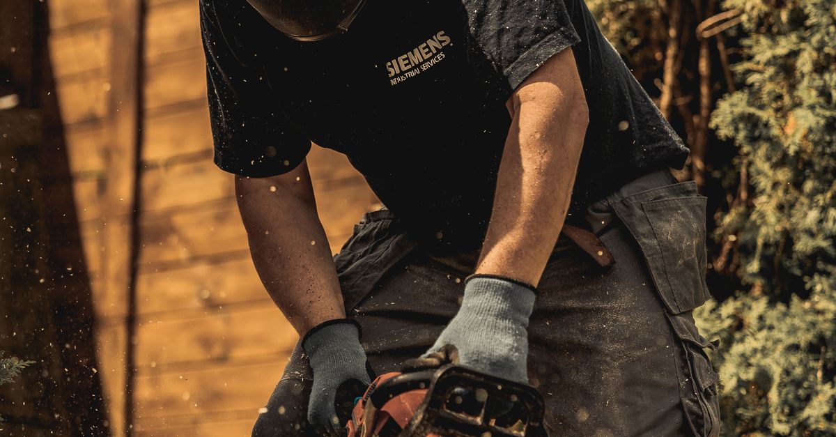 Comparing Rates for Stump Removal in Cairns