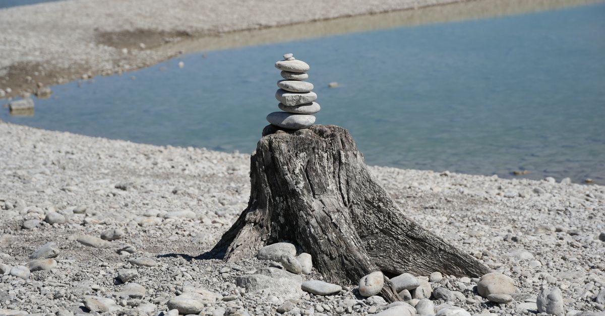 How to Budget for Stump Removal in Cairns