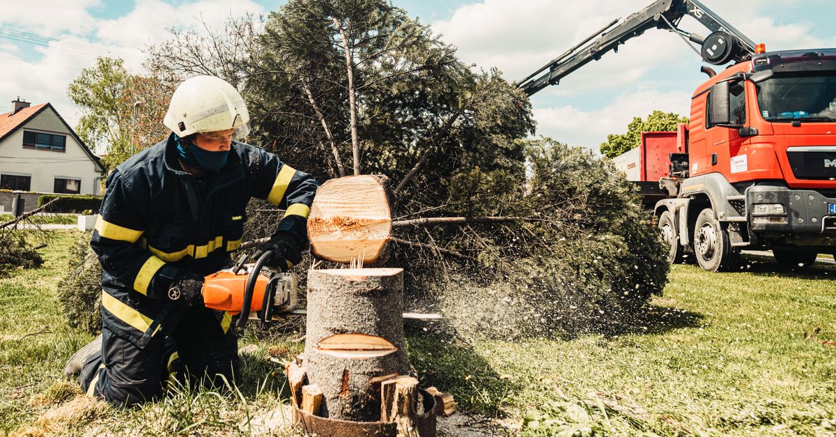 Safety First: Operating a Stump Grinder in Cairns