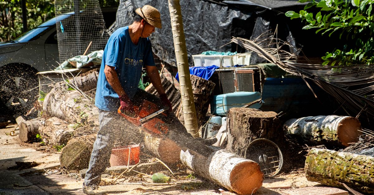 Safety Measures When Burning Stumps on Your Property
